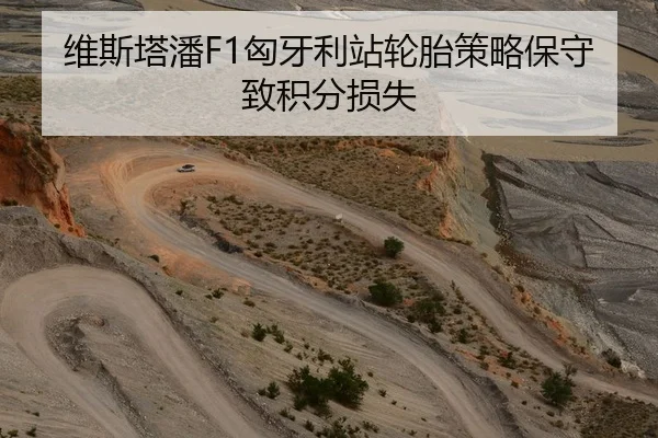 维斯塔潘F1匈牙利站轮胎策略保守致积分损失
