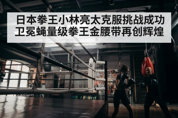 boxer training